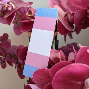 wp 16427176852734478461539257447903 300x300 - Transgender Flag Bookmark 🏳️‍⚧️